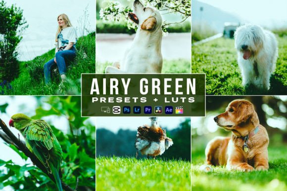 Evaluating Airy Green Lust Videos and Presets for Content Creation